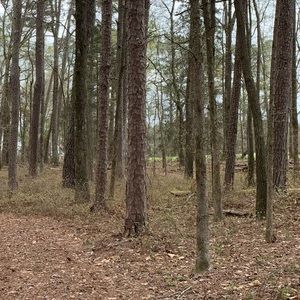 Meet your Posher, Lora